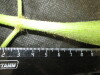Thumbnail IMG_2105.JPG 