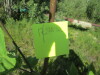 Thumbnail IMG_1123.JPG 
