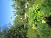 Thumbnail IMG_1127.JPG 