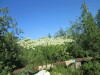 Thumbnail IMG_1141.JPG 