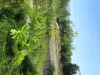 Thumbnail IMG_1142.JPG 