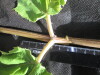 Thumbnail IMG_2129.JPG 