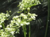 Thumbnail IMG_2134.JPG 