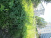 Thumbnail IMG_1157.JPG 