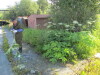 Thumbnail IMG_1158.JPG 
