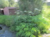 Thumbnail IMG_1159.JPG 