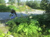 Thumbnail IMG_1165.JPG 
