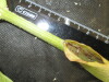 Thumbnail IMG_2058.JPG 