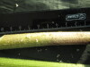 Thumbnail IMG_2069.JPG 