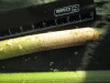 Thumbnail IMG_2070.JPG 