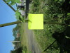 Thumbnail IMG_1172.JPG 
