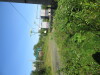 Thumbnail IMG_1174.JPG 