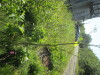 Thumbnail IMG_1182.JPG 
