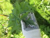 Thumbnail IMG_1187.JPG 