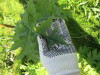 Thumbnail IMG_1188.JPG 