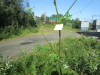 Thumbnail IMG_1189.JPG 