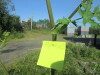 Thumbnail IMG_1192.JPG 