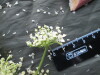Thumbnail IMG_2252.JPG 
