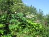 Thumbnail IMG_1212.JPG 