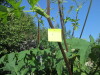 Thumbnail IMG_1216.JPG 