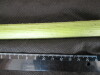 Thumbnail IMG_2202.JPG 