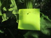 Thumbnail IMG_1224.JPG 