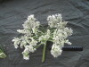 Thumbnail IMG_2227.JPG 