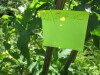 Thumbnail IMG_1255.JPG 