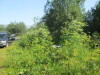 Thumbnail IMG_1258.JPG 