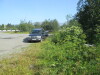 Thumbnail IMG_1259.JPG 