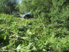 Thumbnail IMG_1292.JPG 