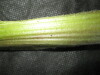Thumbnail IMG_2287.JPG 