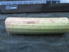 Thumbnail IMG_2295.JPG 