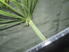 Thumbnail IMG_2300.JPG 
