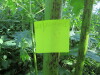 Thumbnail IMG_1310.JPG 