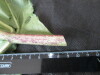 Thumbnail IMG_2173.JPG 