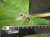 Thumbnail IMG_2180.JPG 