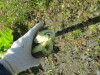 Thumbnail IMG_1433.JPG 