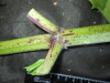 Thumbnail IMG_2502.JPG 