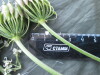 Thumbnail IMG_2513.JPG 
