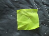Thumbnail IMG_2517.JPG 