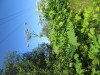 Thumbnail IMG_1448.JPG 