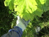 Thumbnail IMG_1450.JPG 
