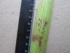 Thumbnail IMG_3032.JPG 