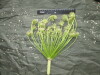 Thumbnail IMG_3038.JPG 