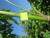 Thumbnail IMG_1474.JPG 