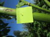 Thumbnail IMG_1475.JPG 