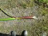 Thumbnail IMG_1493.JPG 