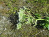 Thumbnail IMG_1498.JPG 