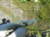 Thumbnail IMG_1502.JPG 